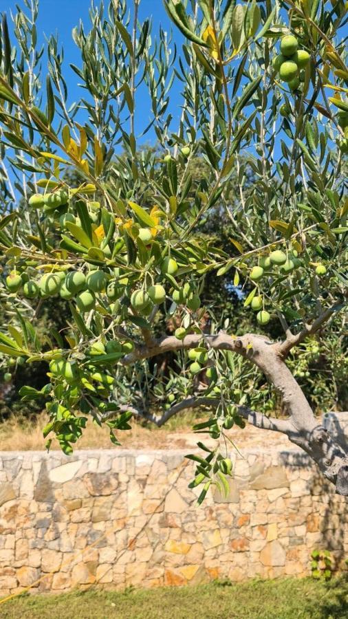 Villa Sucic Razanj Rogoznica  Εξωτερικό φωτογραφία